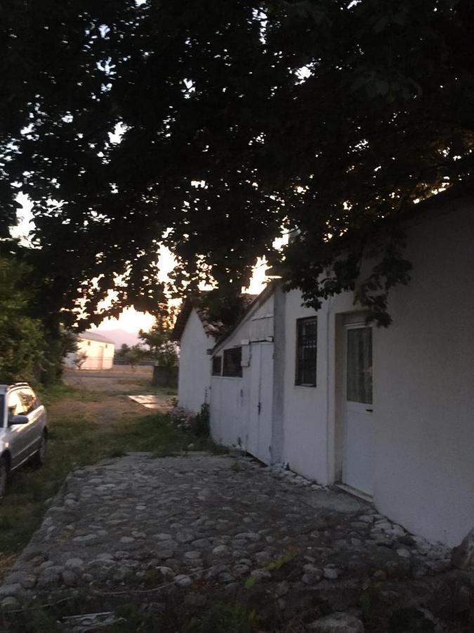Anza Camping Shkodër Dış mekan fotoğraf