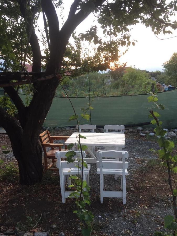 Anza Camping Shkodër Dış mekan fotoğraf