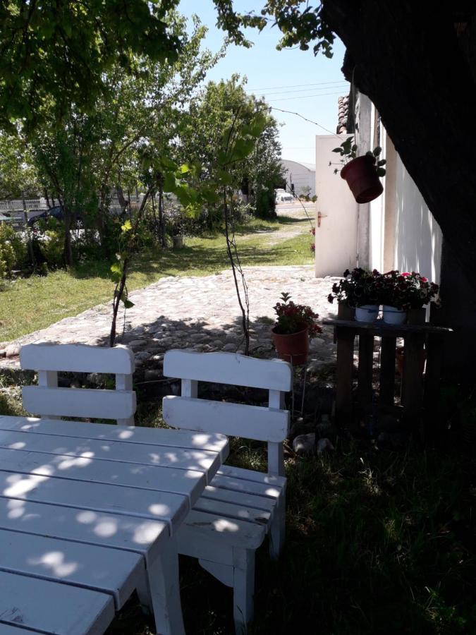 Anza Camping Shkodër Dış mekan fotoğraf