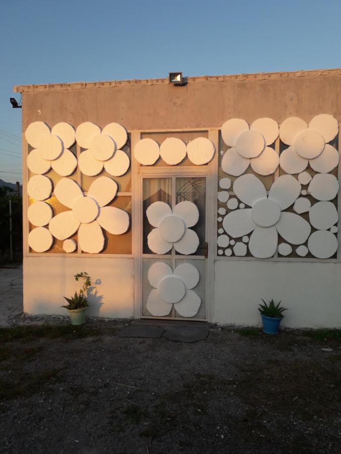 Anza Camping Shkodër Dış mekan fotoğraf